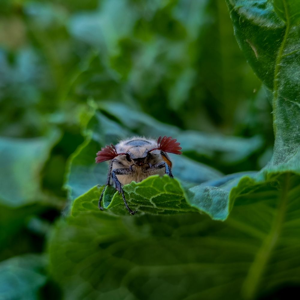 Photograph by Дарья Кривоножкина