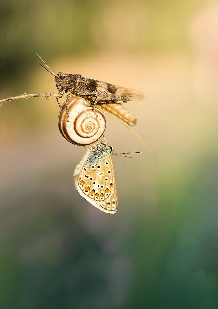 Photograph by Robert Dobros