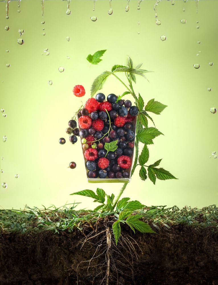 Photograph by Наталья Оконешникова