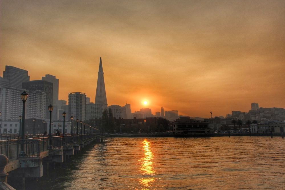 Photograph by Maja Kacprzyk