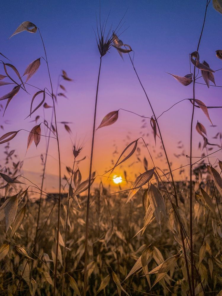 На закате дня
