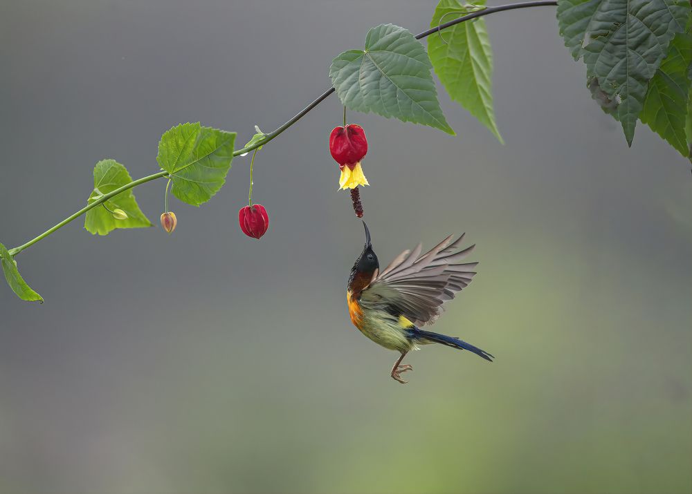 Photograph by Tuấn Nguyễn Anh