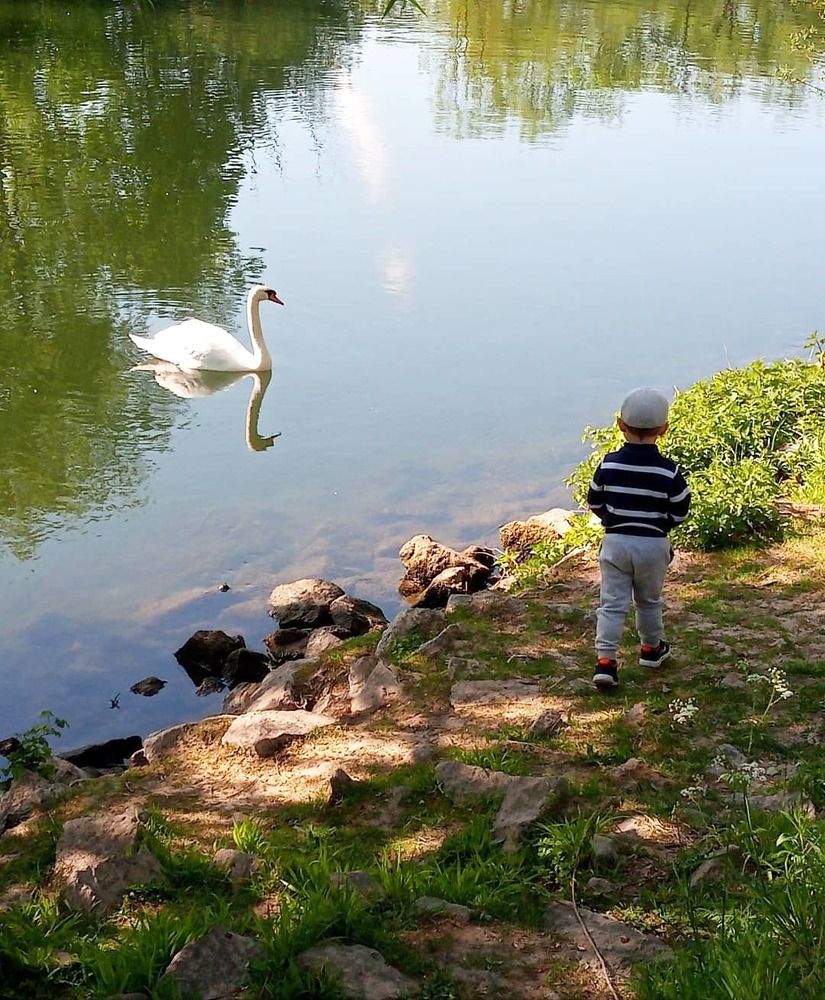 Photograph by Ирина Ерохина