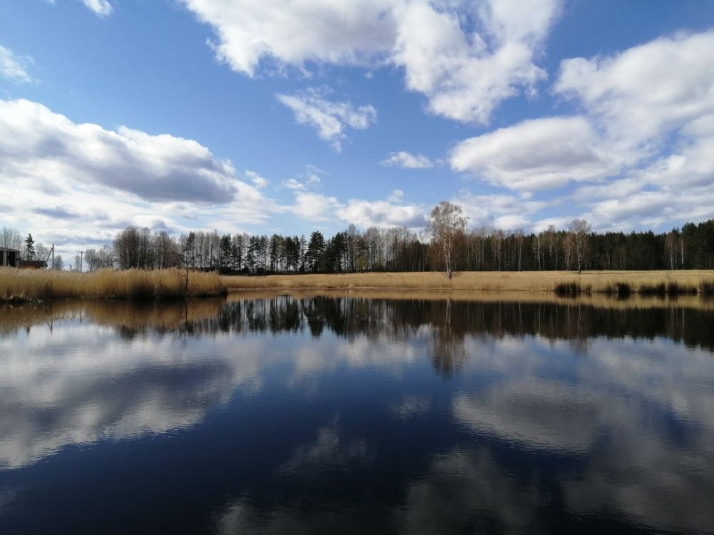 Photo #6357692