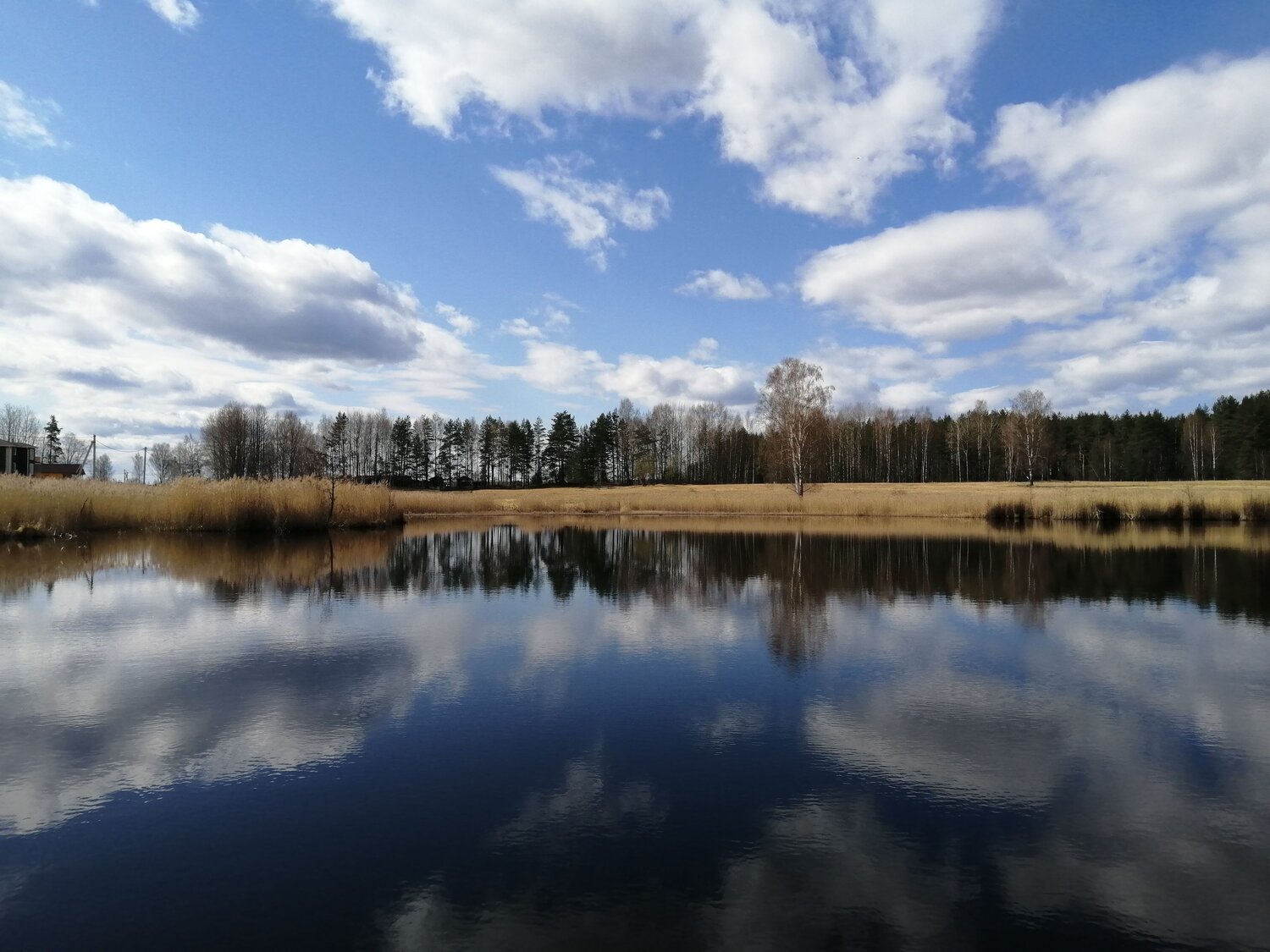 Photo #6357692