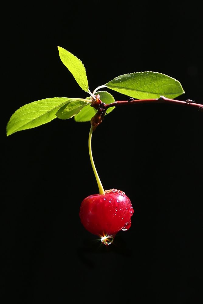 После дождя...