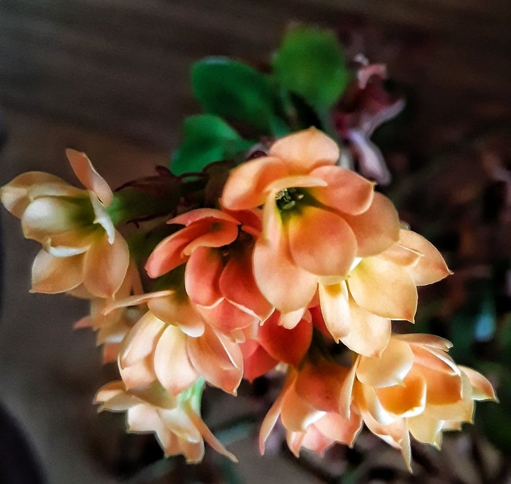 Photograph by Уткина Елена