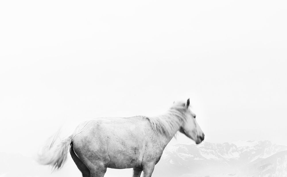 Photograph by Hammad Ali