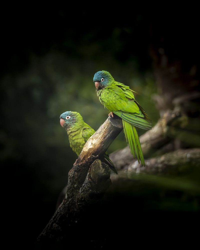 Photograph by Marie-george Lavaurs