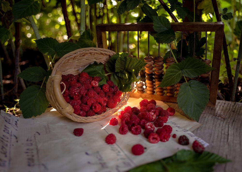 Photograph by Katerina Seneng