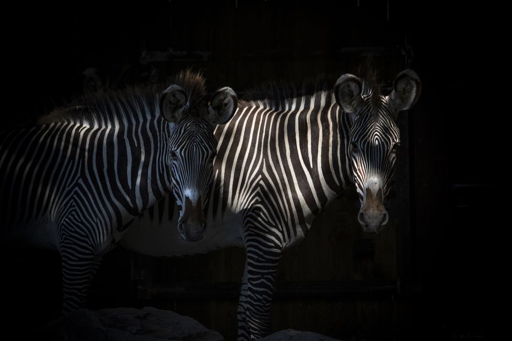 Photograph by Marie-george Lavaurs