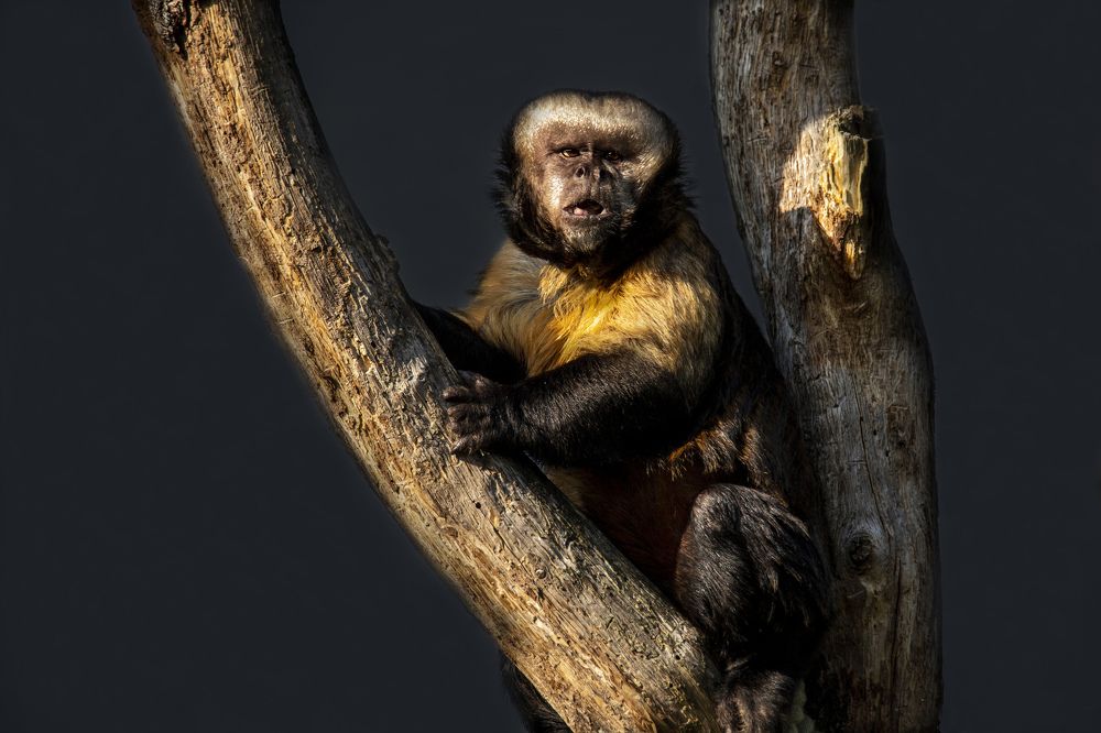 Photograph by Marie-george Lavaurs