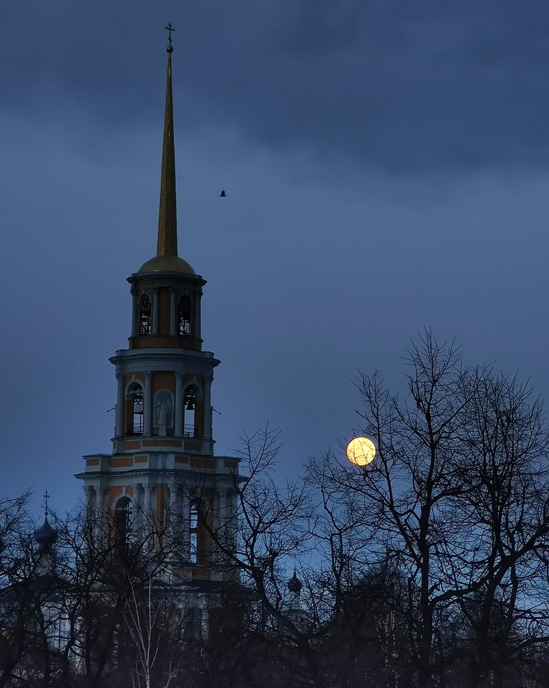 Photograph by Ольга Синева