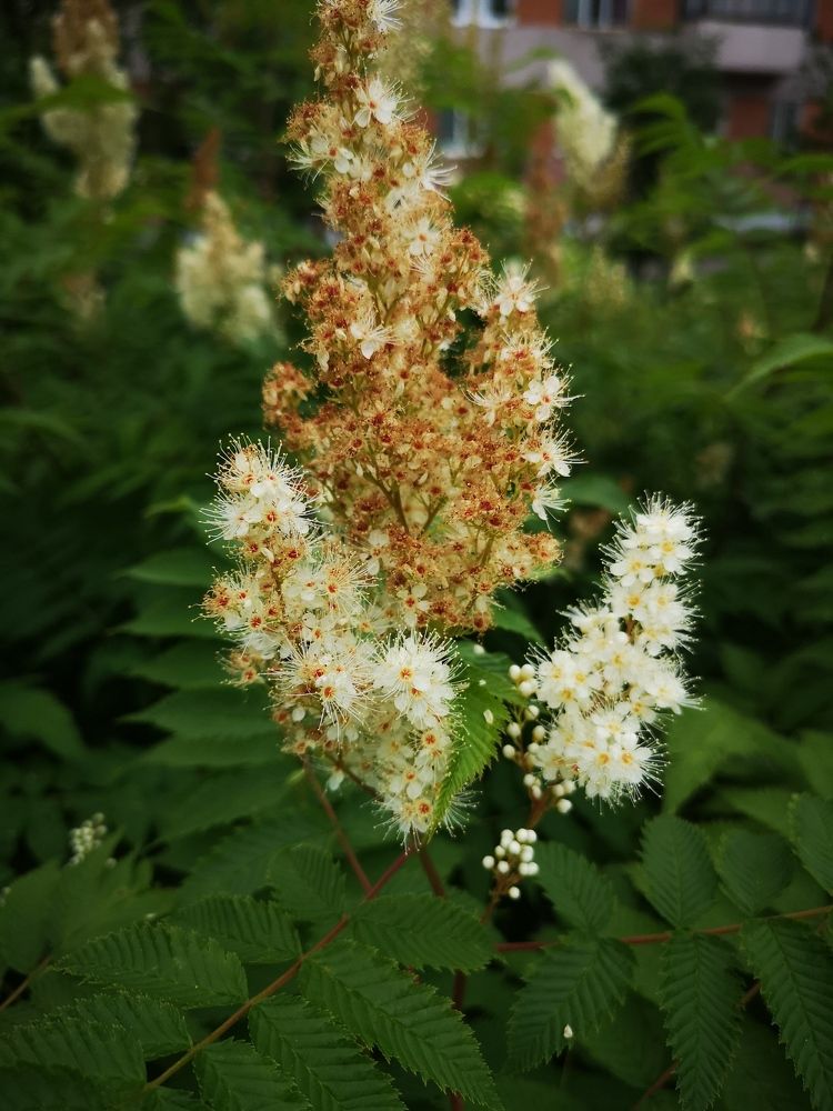 Photograph by Роман Бенедик