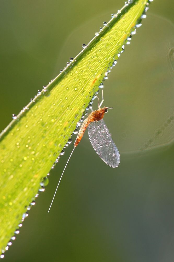 Photograph by Алексей Дудинский