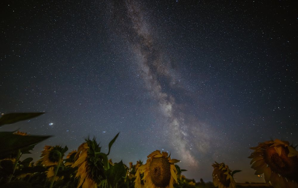 Photograph by Денис Кошкин