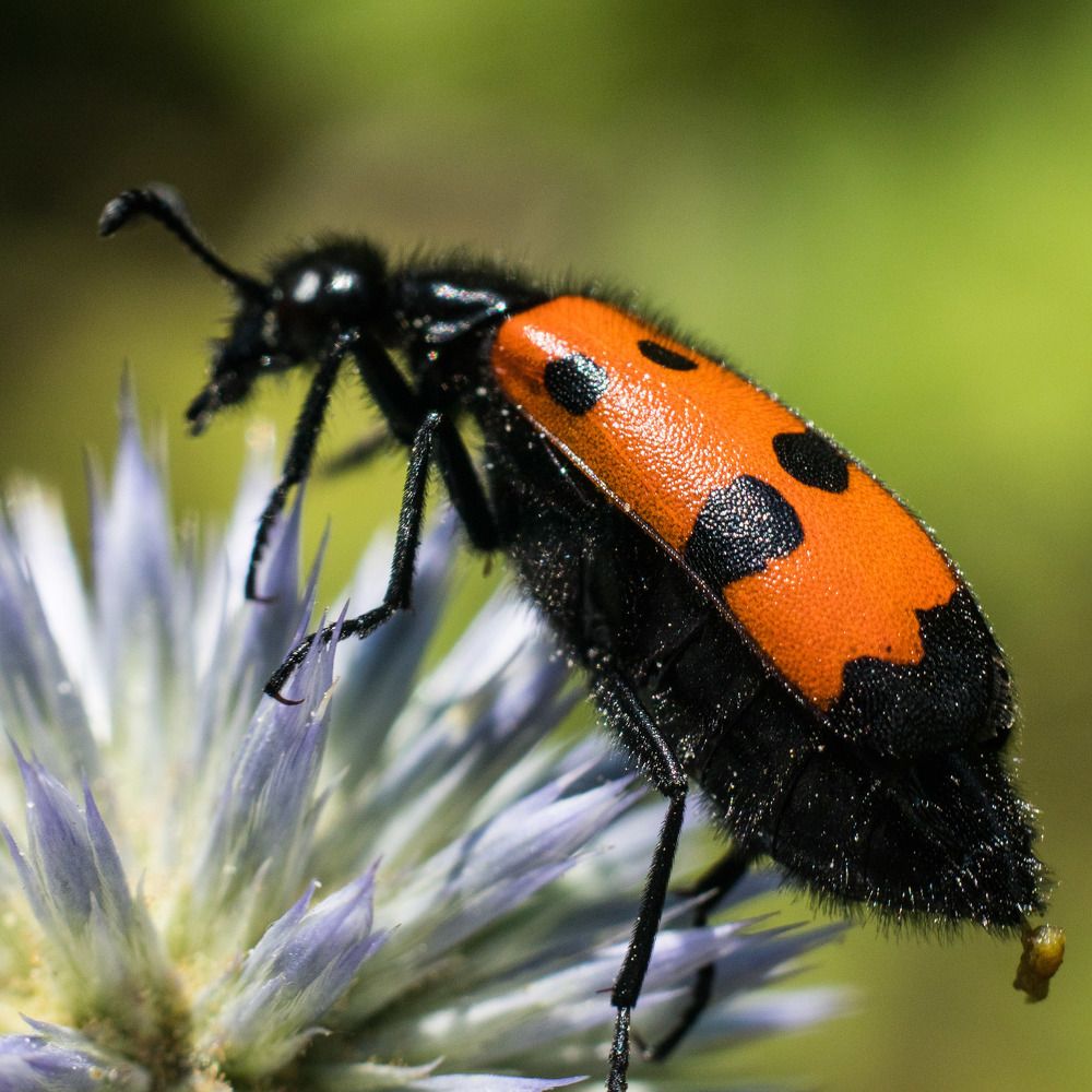 Photograph by Олег Башкуров