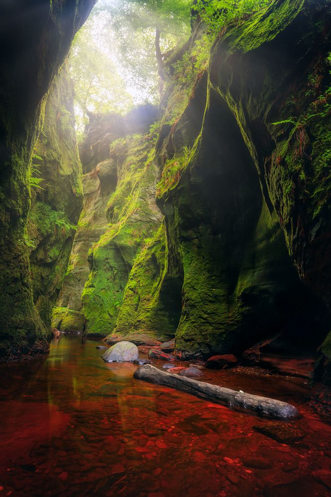 Photograph by Sara Nowak