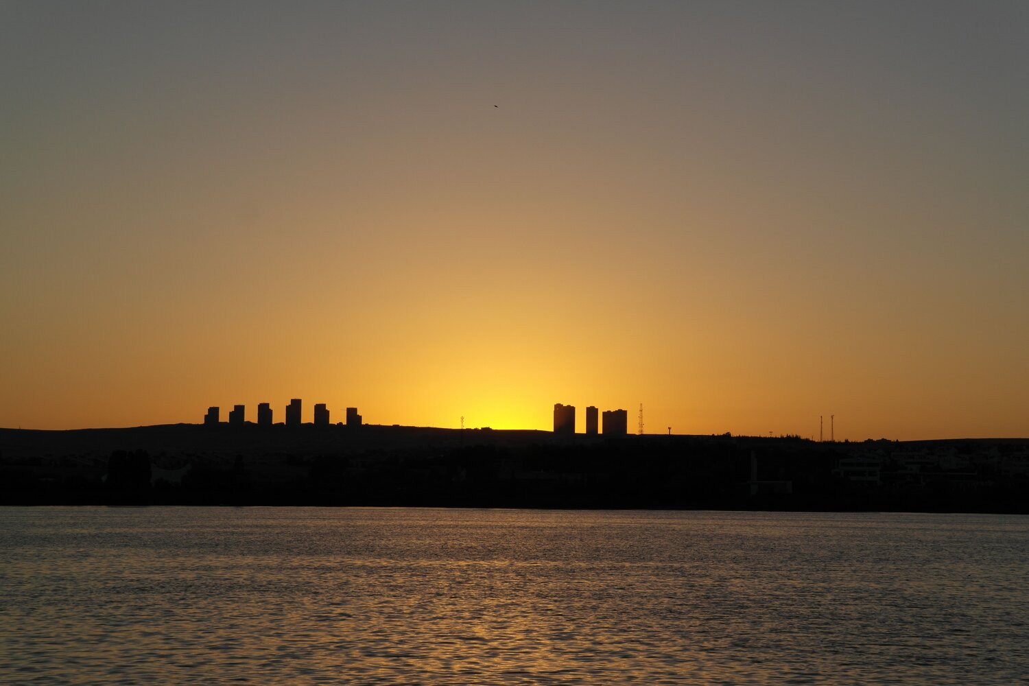 Photo #6358552