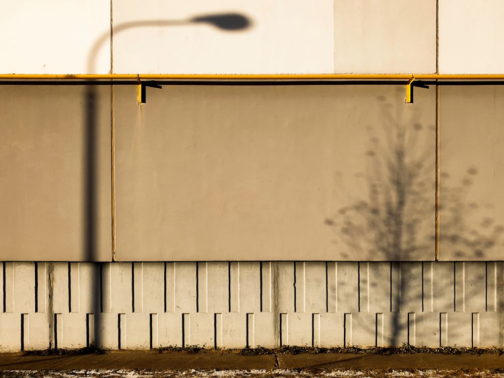 Photograph by Дарья Кривоножкина