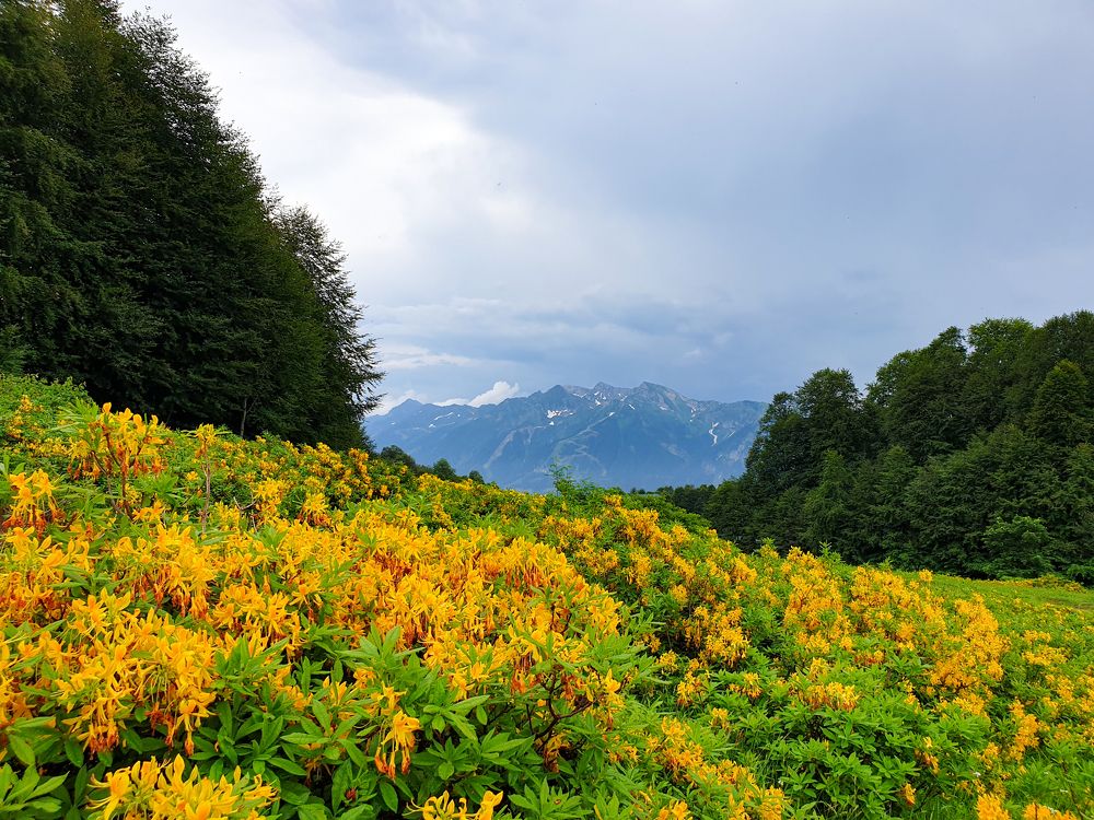 Photograph by Дарья Кривоножкина