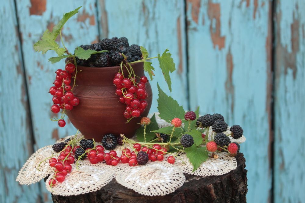 Photograph by Любовь Кучерук