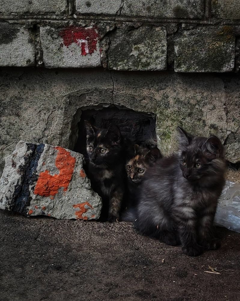 Photograph by Ольга Синева