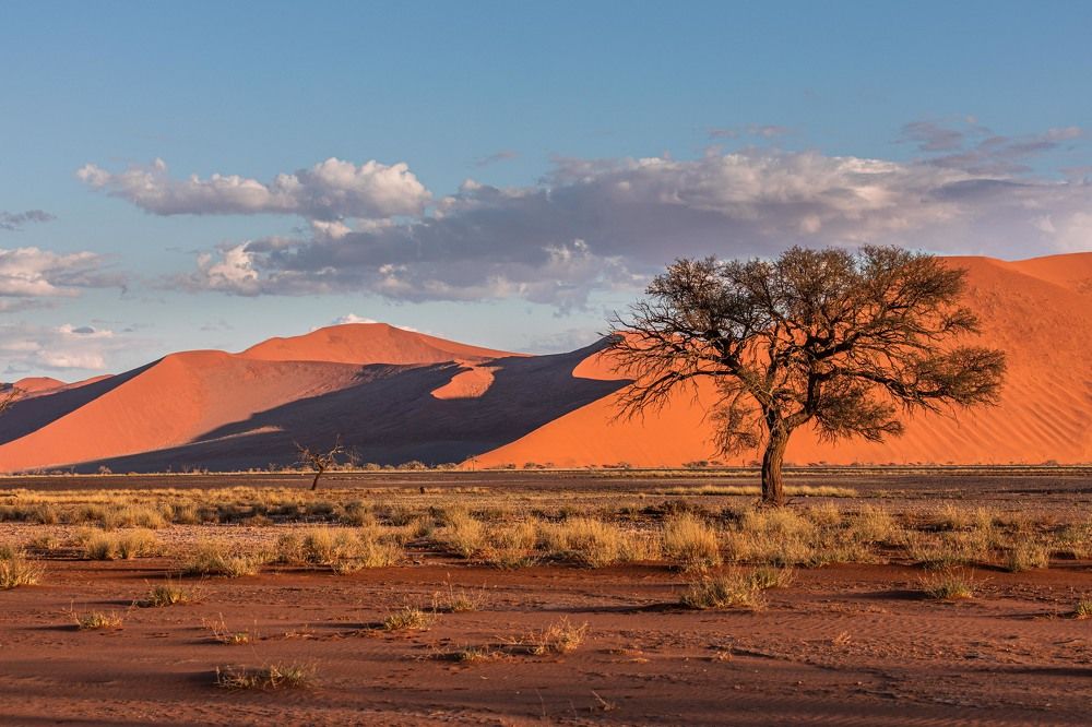 В одиночестве
