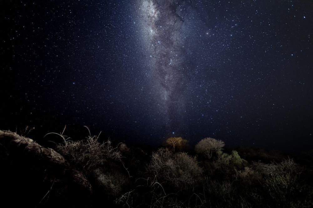 Photograph by Roman Bevzenko