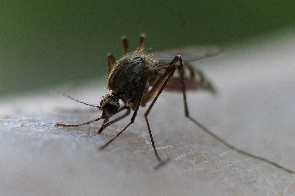 Photograph by Татьяна Фоевцева