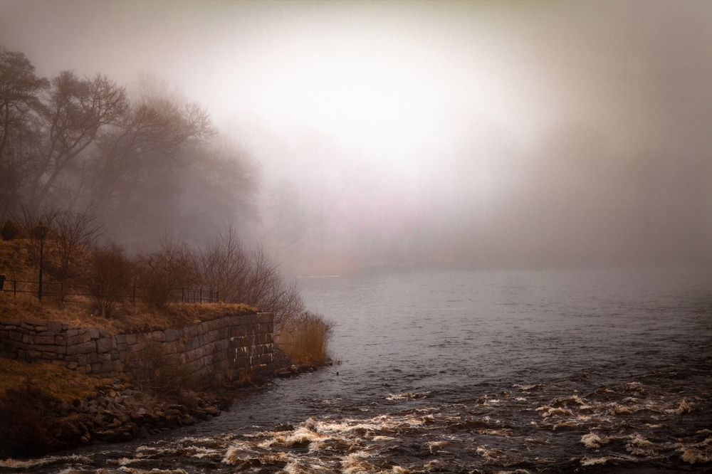 Photograph by Любовь