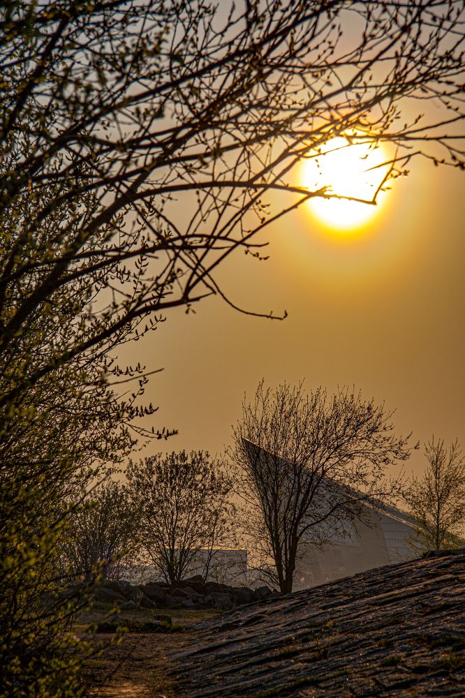 Photograph by Дмитрий