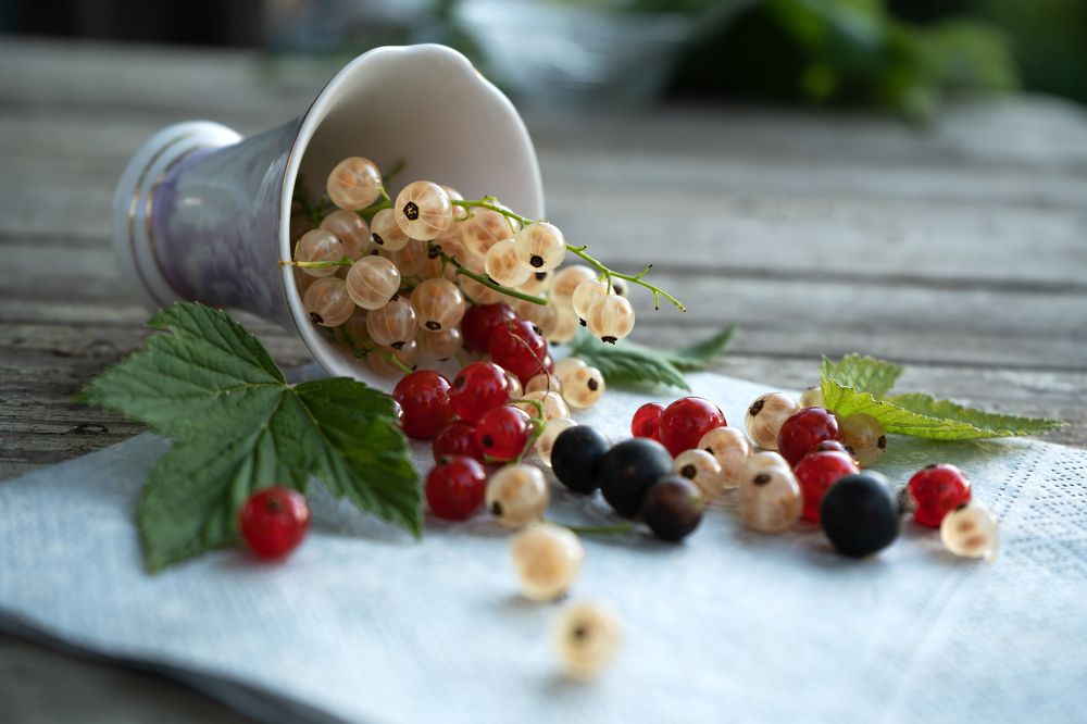 Photograph by Мария Каськова