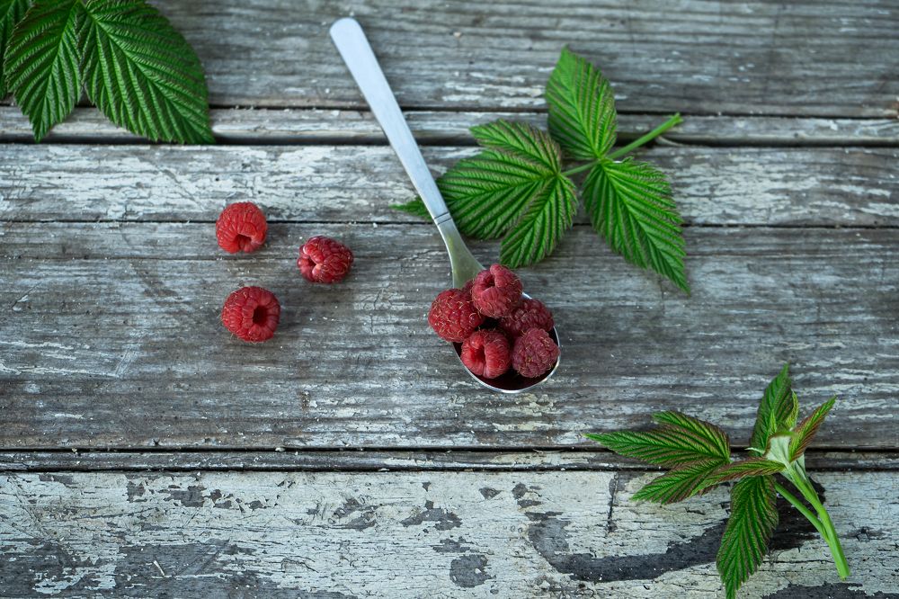 Photograph by Мария Каськова