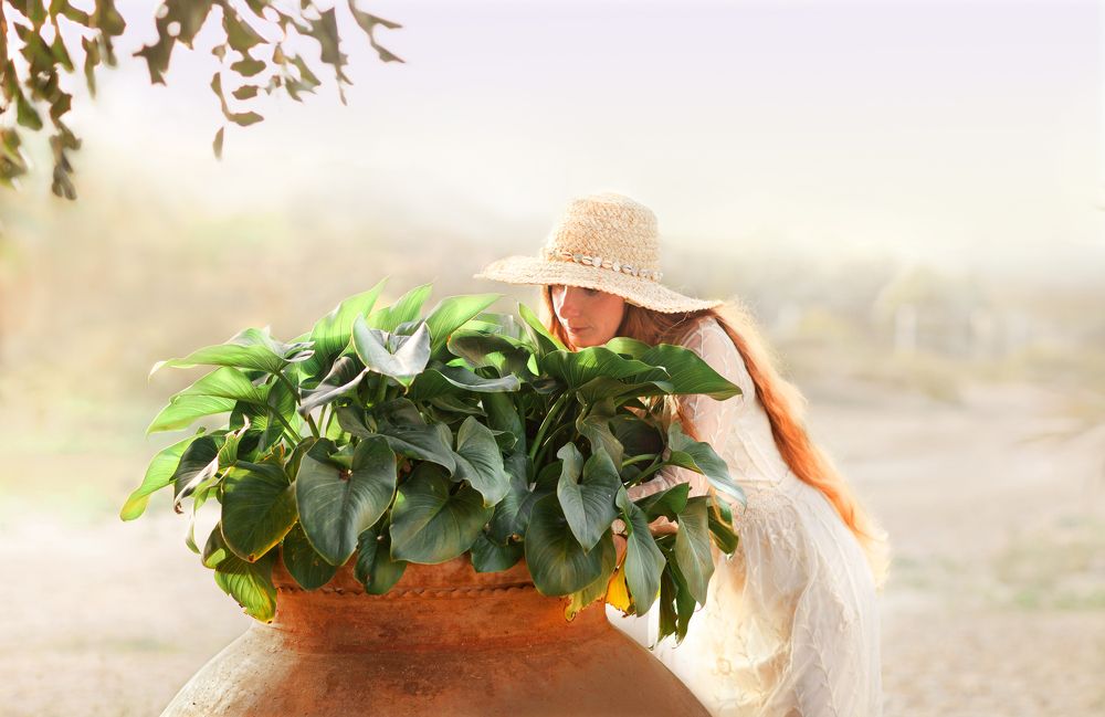 Photograph by Любовь