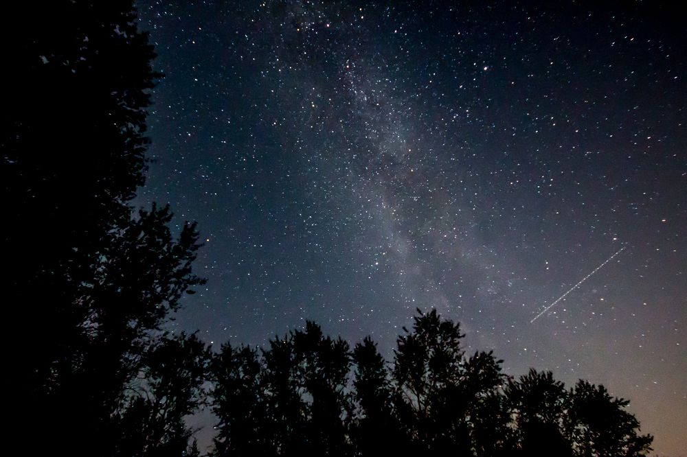 Photograph by Nikita Frolkin