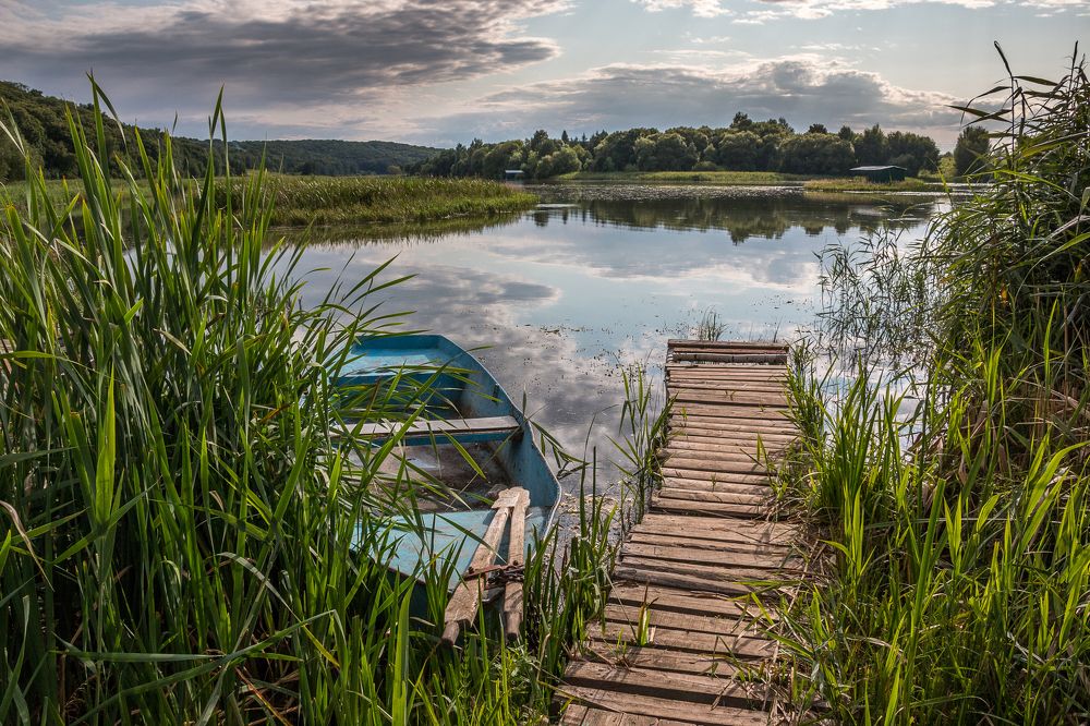 Photograph by Nikita Frolkin