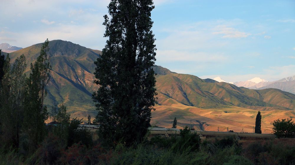 В окрестностях