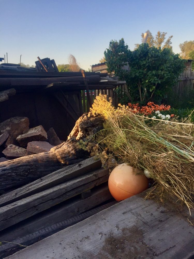 Утро в мелочах