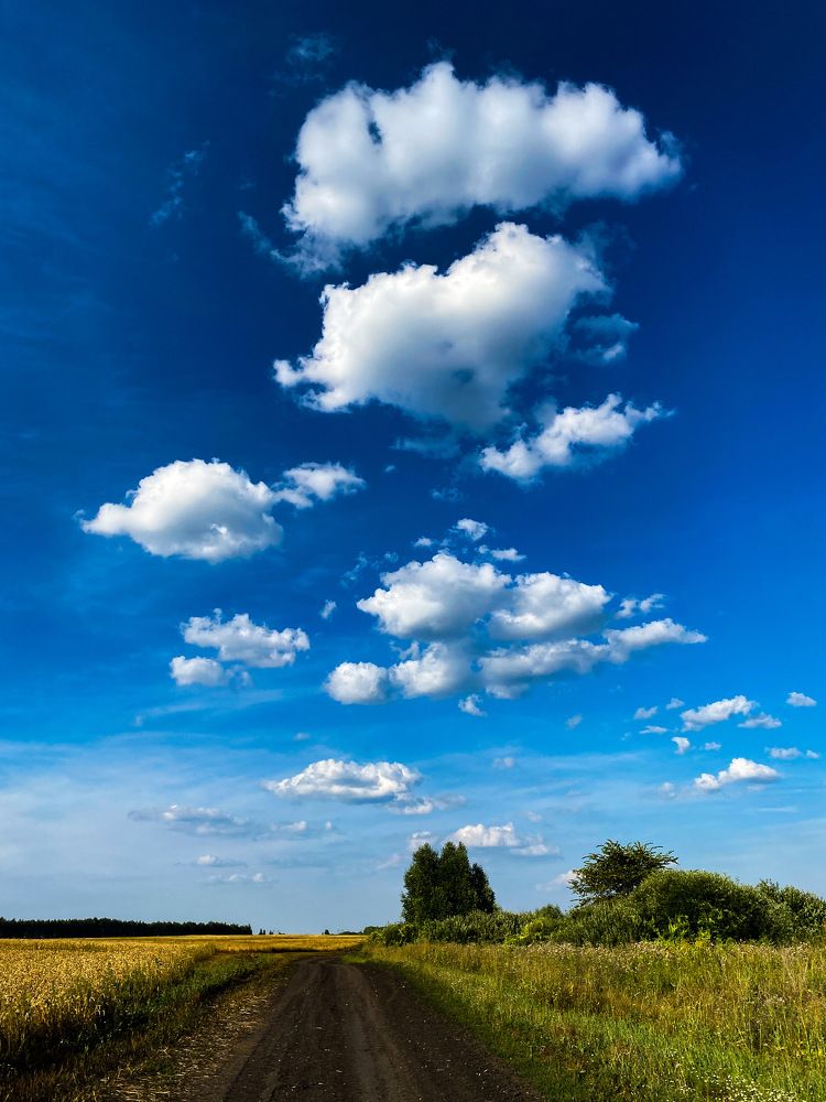 Photograph by Виктория Лаур