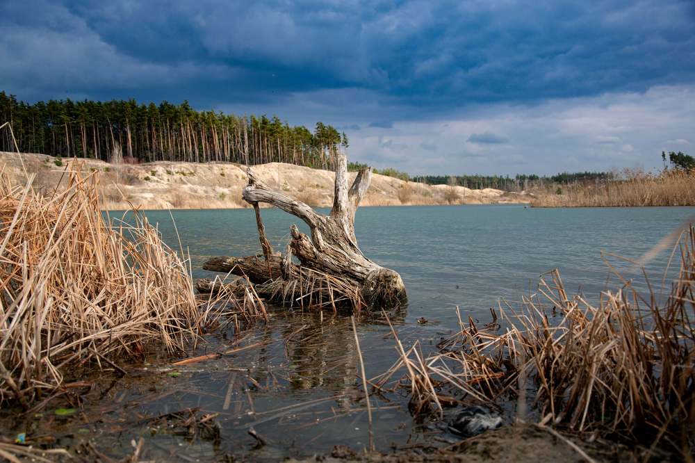 Photograph by Давид Гассиев
