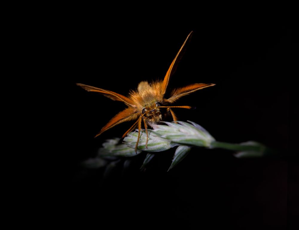 Photograph by Людмила Аксенова