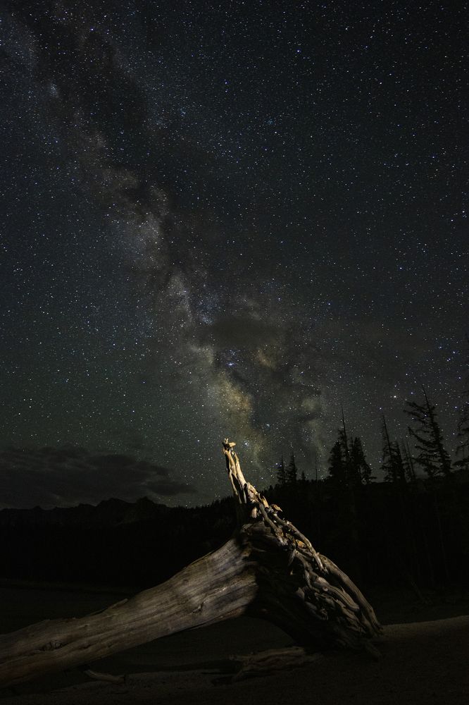 Photograph by Justin Emord