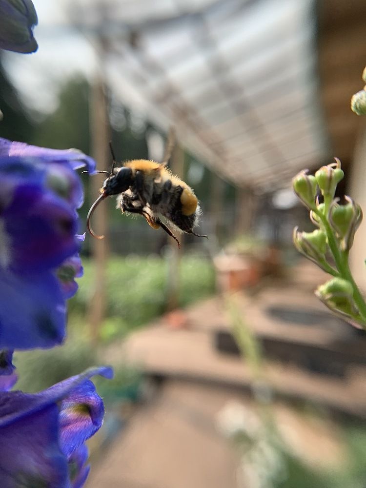 Photograph by Екатерина