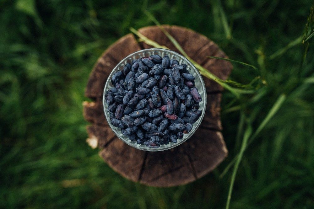 Photograph by Юлия Ефимова