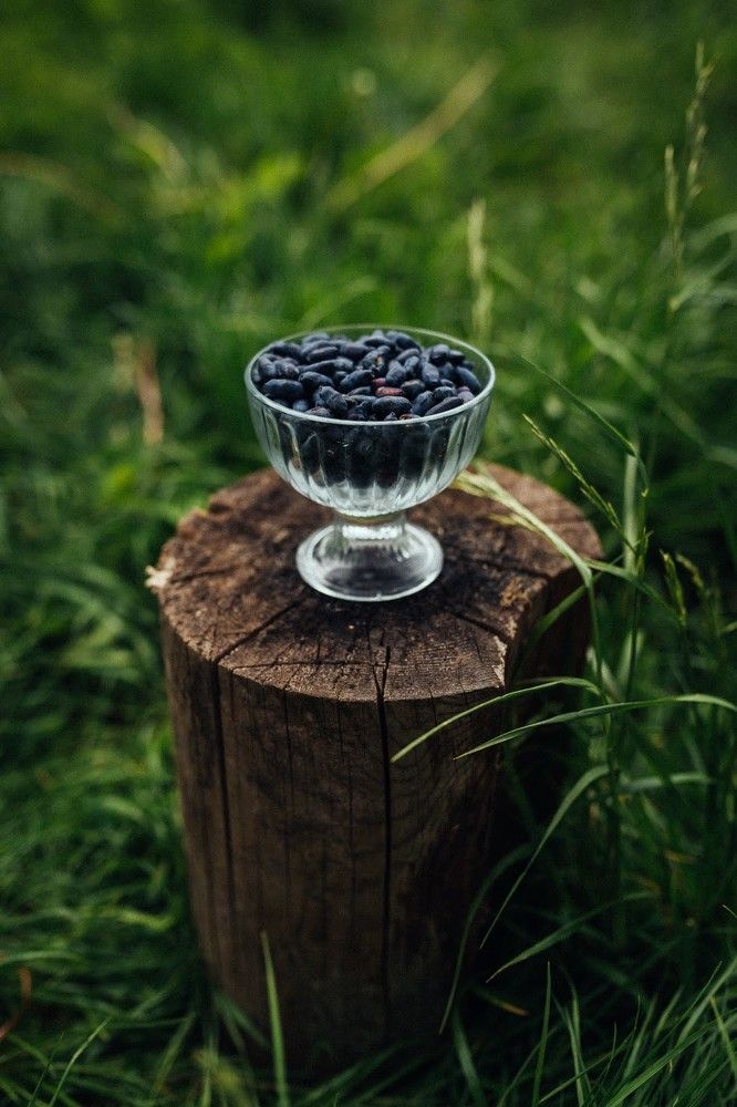 Photograph by Юлия Ефимова