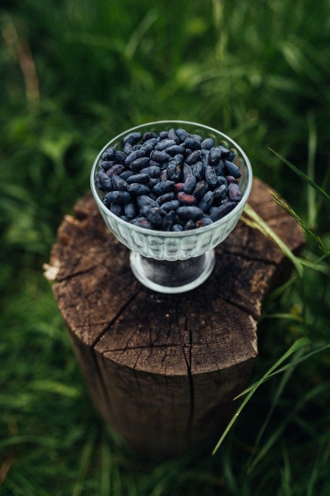 Photograph by Юлия Ефимова