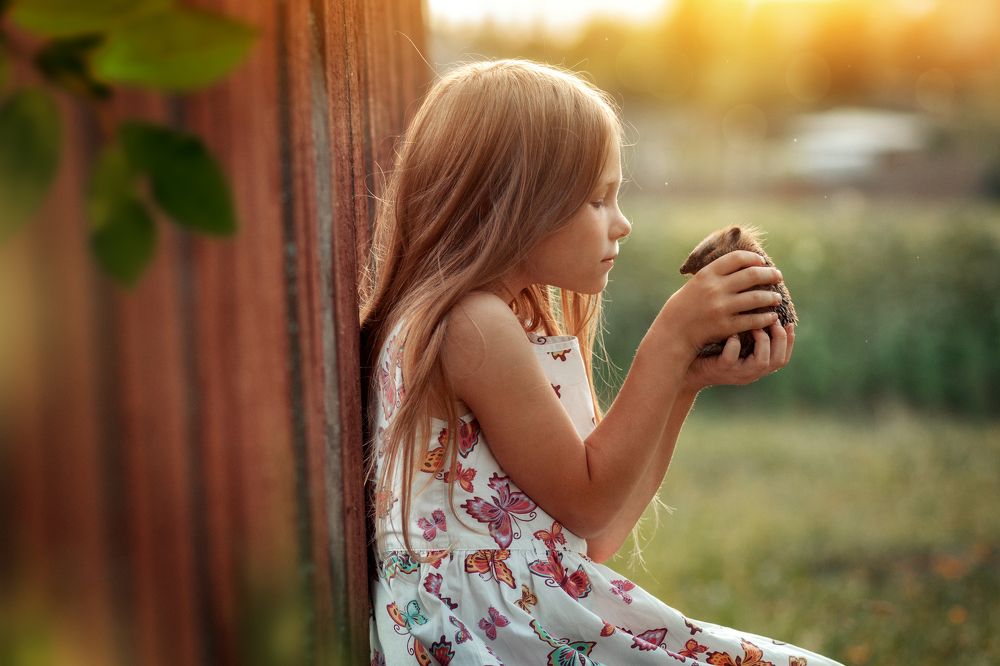 Photograph by Ренат Фотов