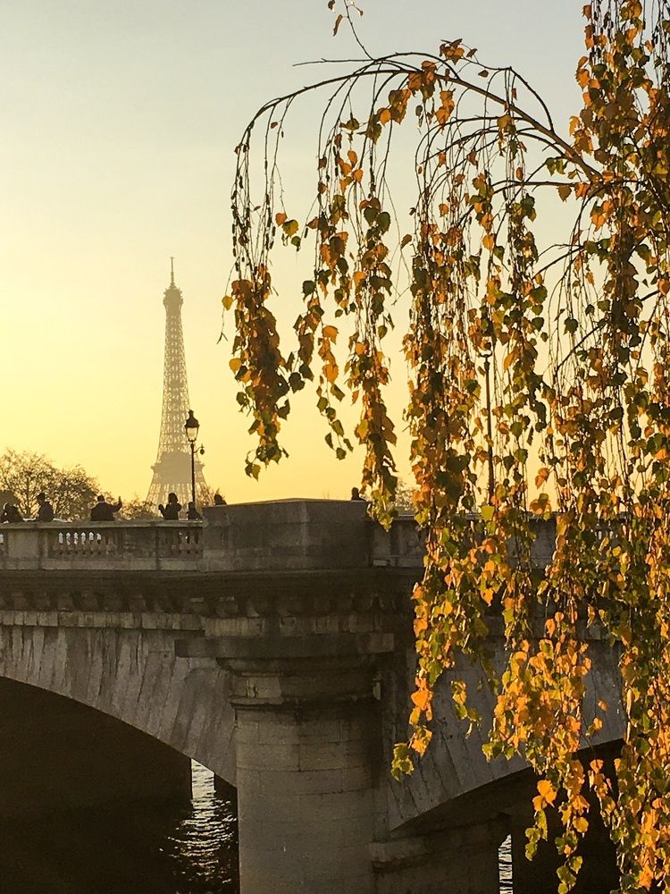 Photograph by Яна Лугинина