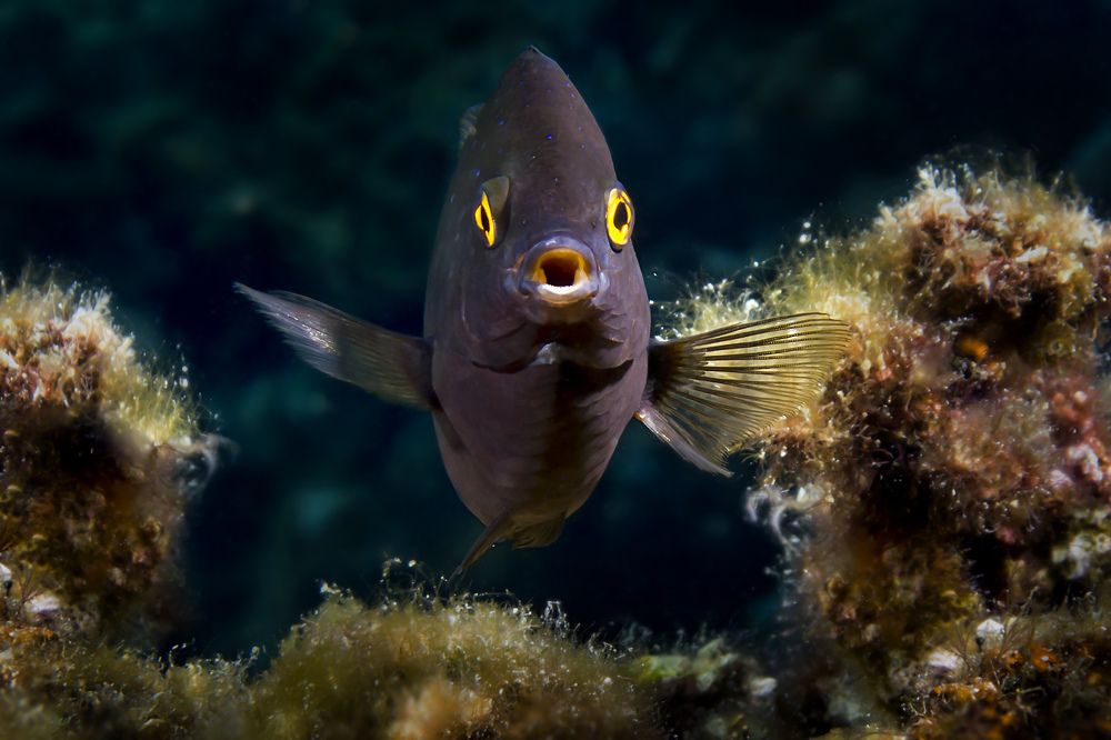 Photograph by Альт Эдуард